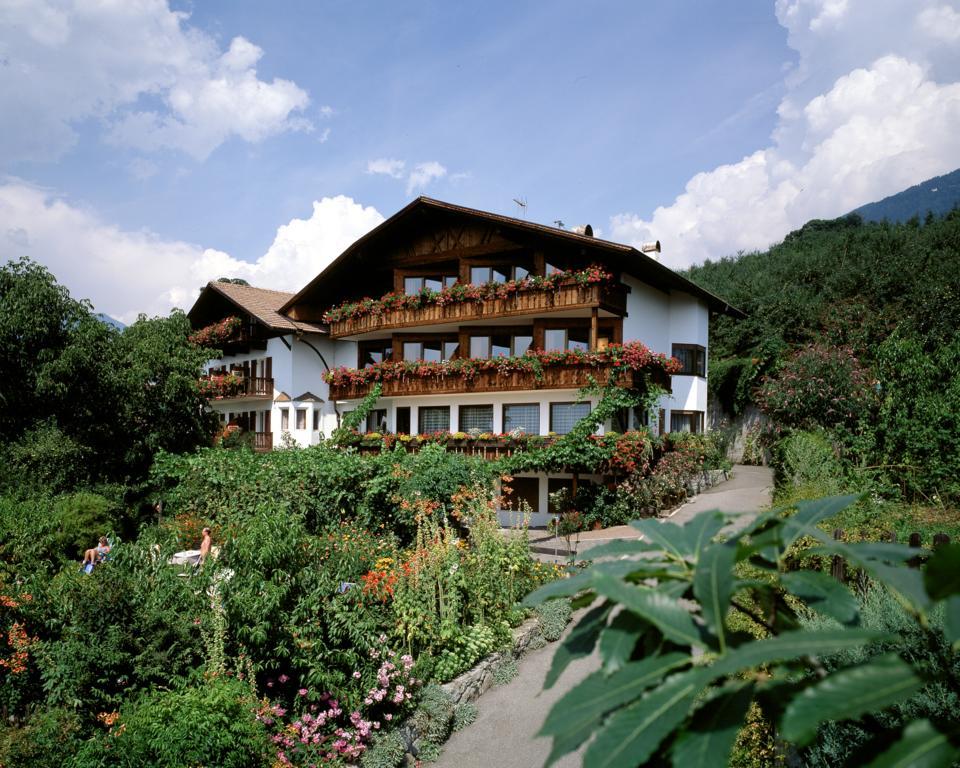 Hotel Garni Lichtenau Scena Exterior foto